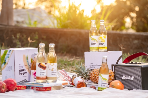 Brewery Tour & Kombucha Tasting