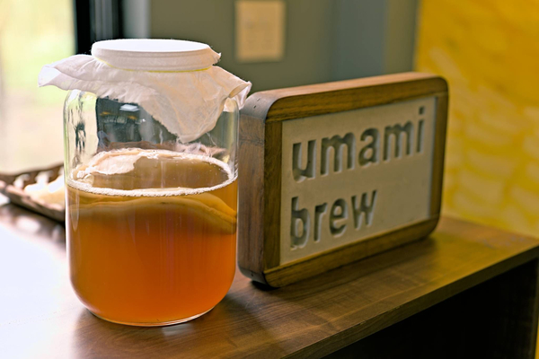 Brewery Tour & Kombucha Tasting